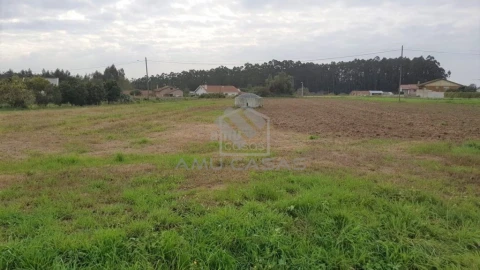 Terreno para Venda em Beduído e Veiros