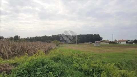 Terreno para Venda em Beduído e Veiros