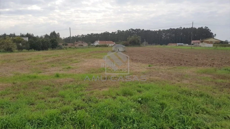 Terreno para Venda em Beduído e Veiros Foto 3