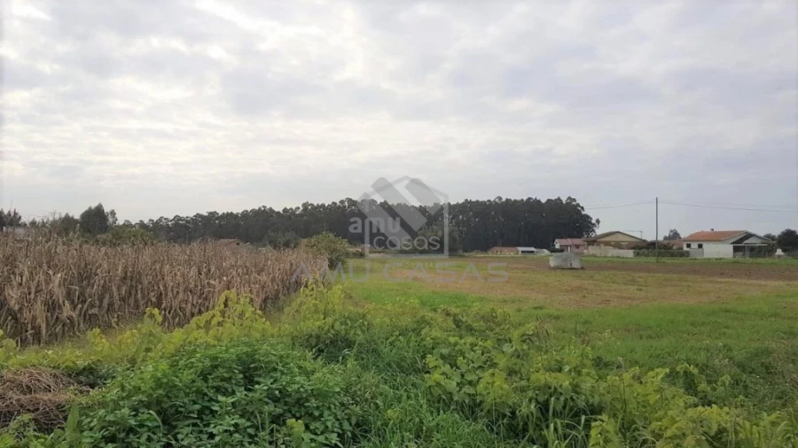 Terreno para Venda em Beduído e Veiros Foto 4