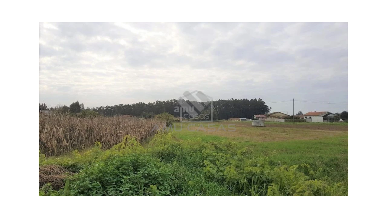 Terreno para Venda em Beduído e Veiros Foto 4