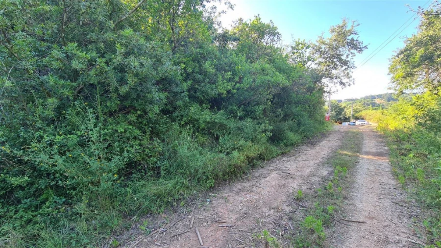 Terreno para Venda em Eiras e São Paulo de Frades Foto 2