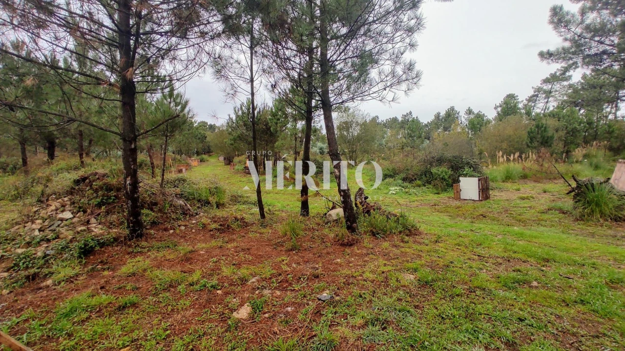 Terreno para Venda em Póvoa de Varzim, Beiriz e Argivai Foto 1