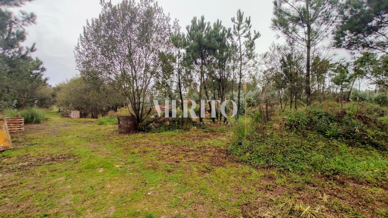 Terreno para Venda em Póvoa de Varzim, Beiriz e Argivai Foto 3