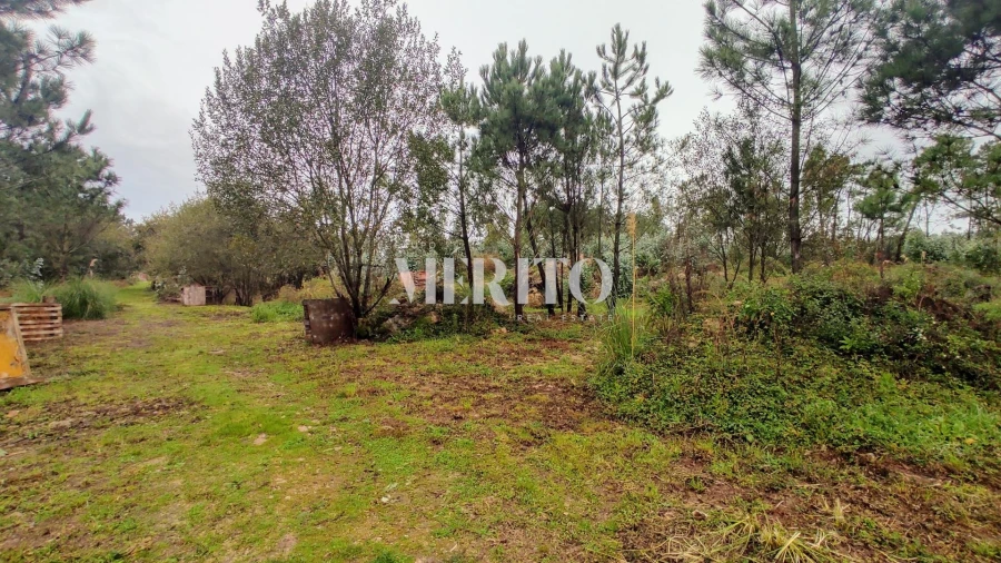 Terreno para Venda em Póvoa de Varzim, Beiriz e Argivai Foto 3