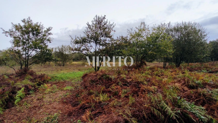 Terreno para Venda em Póvoa de Varzim, Beiriz e Argivai Foto 7
