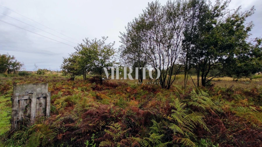 Terreno para Venda em Póvoa de Varzim, Beiriz e Argivai Foto 5