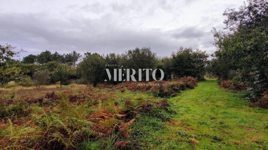 Terreno para Venda em Póvoa de Varzim, Beiriz e Argivai Foto 6