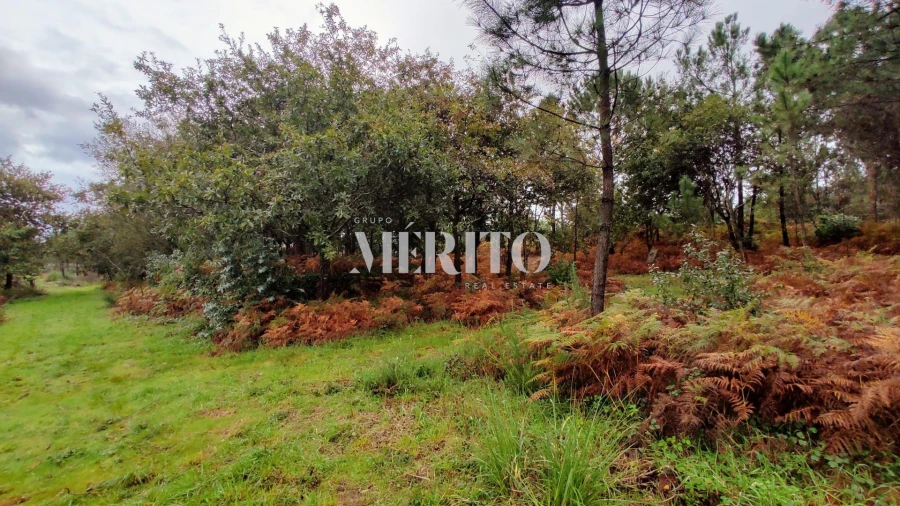 Terreno para Venda em Póvoa de Varzim, Beiriz e Argivai Foto 4