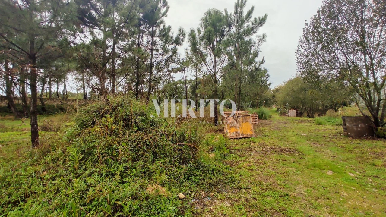 Terreno para Venda em Póvoa de Varzim, Beiriz e Argivai Foto 2