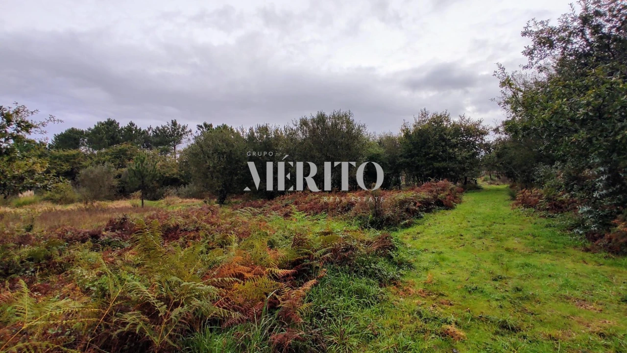 Terreno para Venda em Póvoa de Varzim, Beiriz e Argivai Foto 6