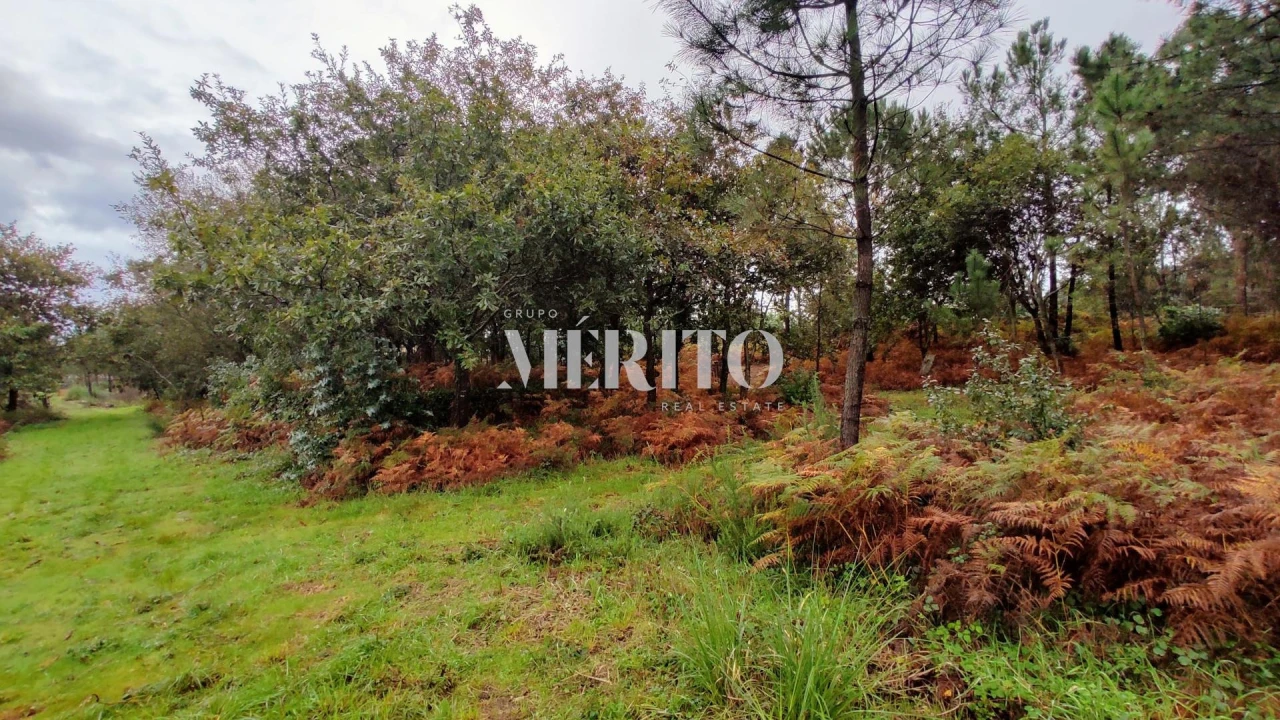 Terreno para Venda em Póvoa de Varzim, Beiriz e Argivai Foto 4