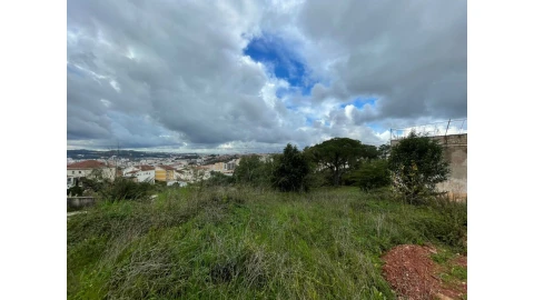 Terreno para Venda em Santo Antonio dos Olivais