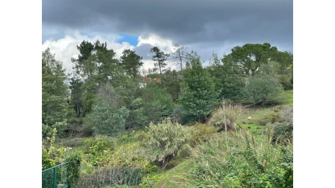 Terreno para Venda em Santo Antonio dos Olivais