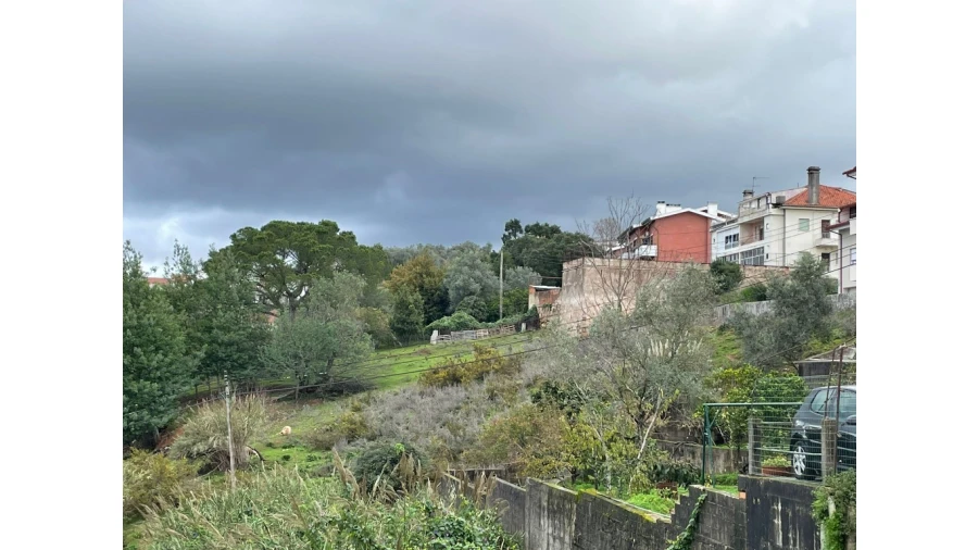 Terreno para Venda em Santo Antonio dos Olivais Foto 6