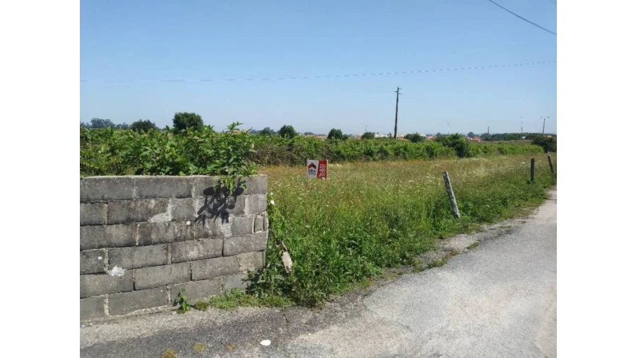 Terreno para Venda em Cacia Foto 2