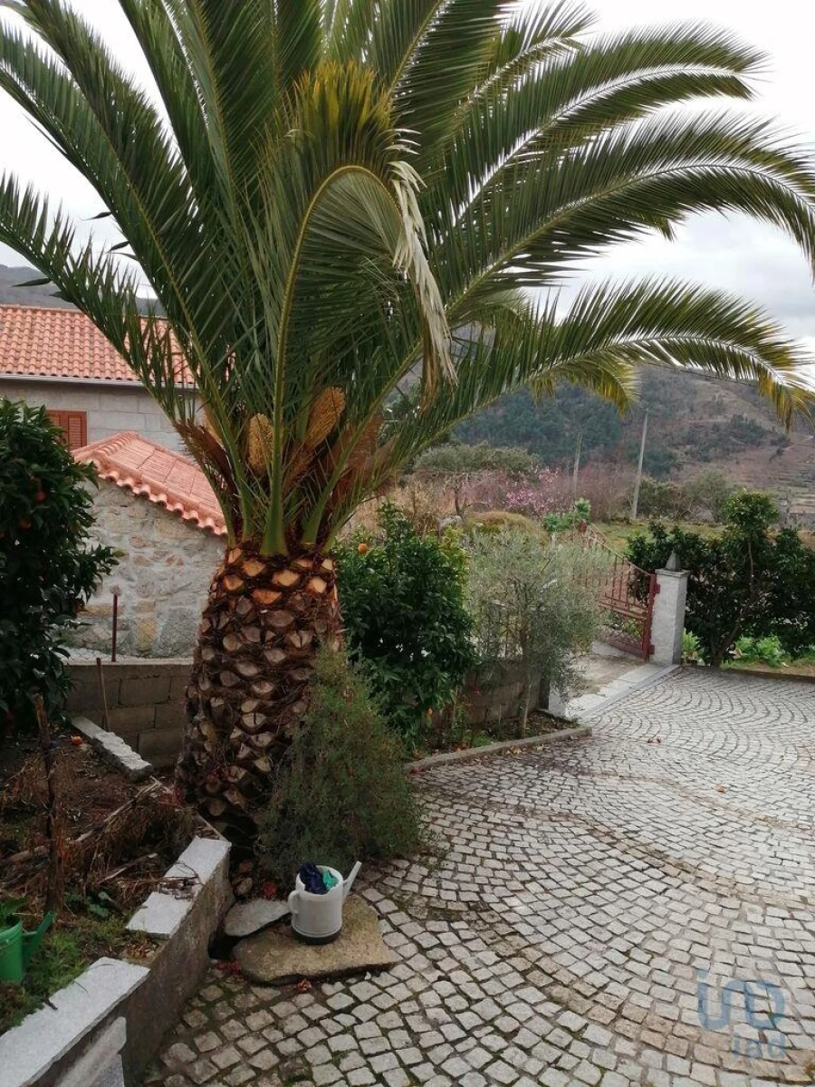 Prédio para Venda em Eiras, São Julião de Montenegro e Cela Foto 15