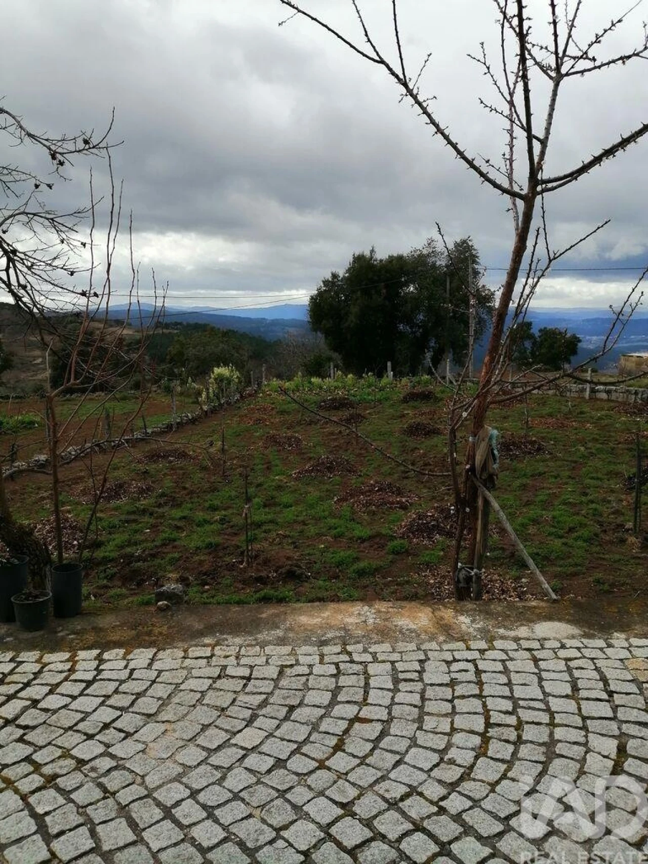 Prédio para Venda em Eiras, São Julião de Montenegro e Cela Foto 17