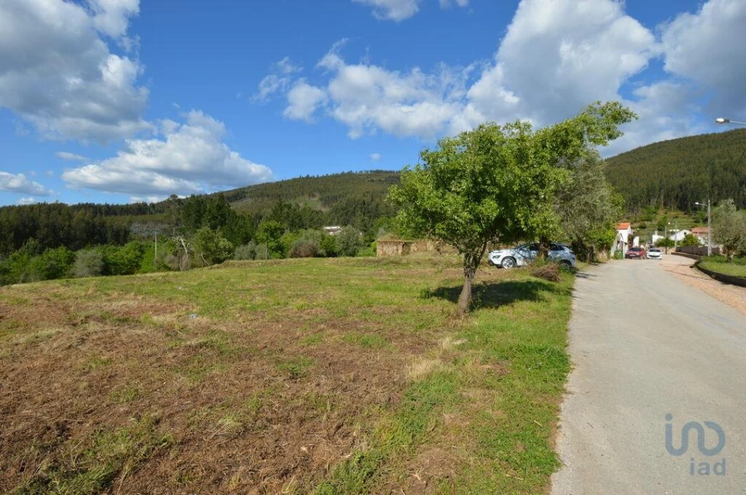 Terreno para Venda em São Miguel, Santa Eufémia e Rabaçal Foto 4