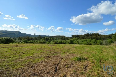 Terreno para Venda em São Miguel, Santa Eufémia e Rabaçal