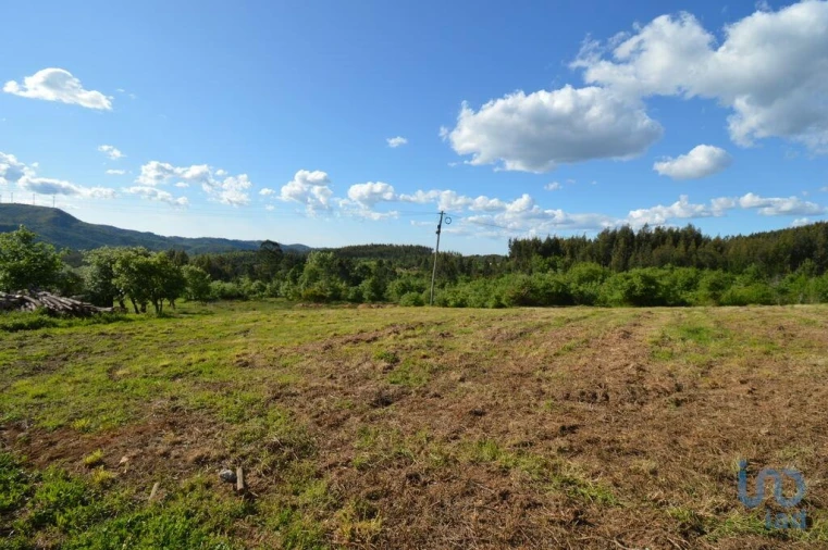 Terreno para Venda em São Miguel, Santa Eufémia e Rabaçal Foto 6