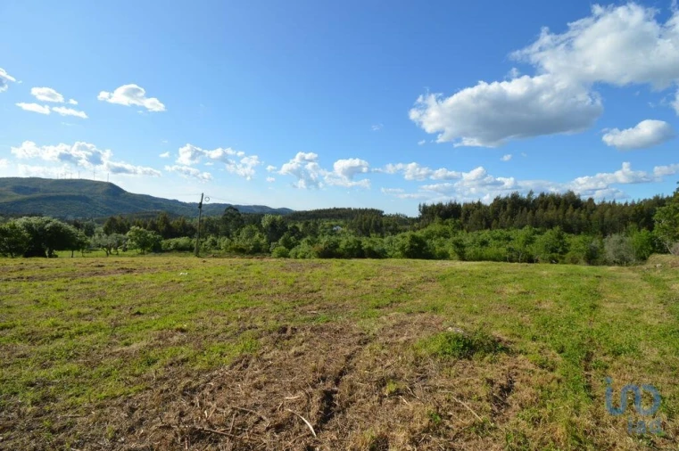 Terreno para Venda em São Miguel, Santa Eufémia e Rabaçal Foto 1