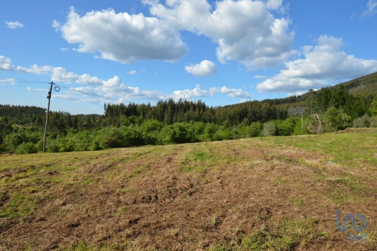 Terreno para Venda em São Miguel, Santa Eufémia e Rabaçal Foto 5