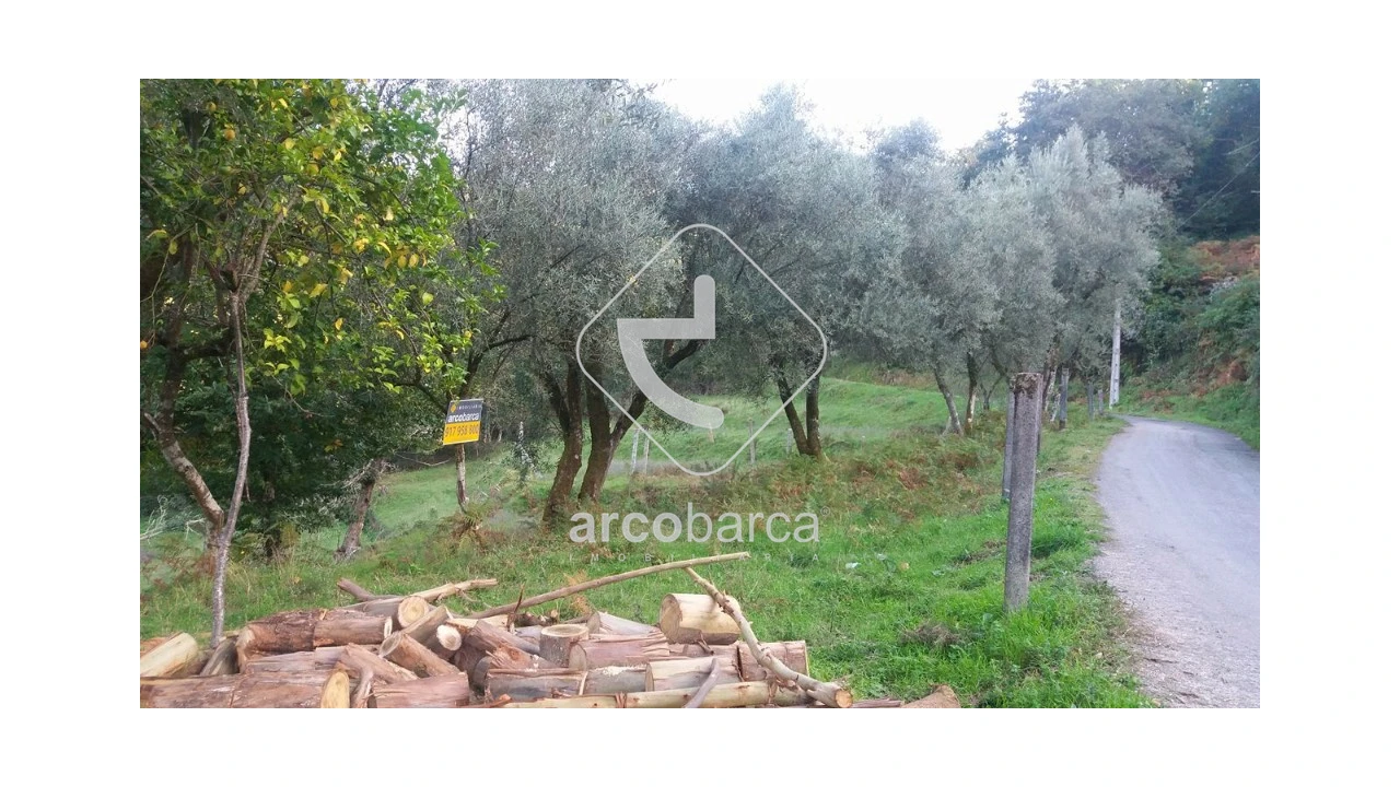 Terreno para Venda em Lavradas Foto 4