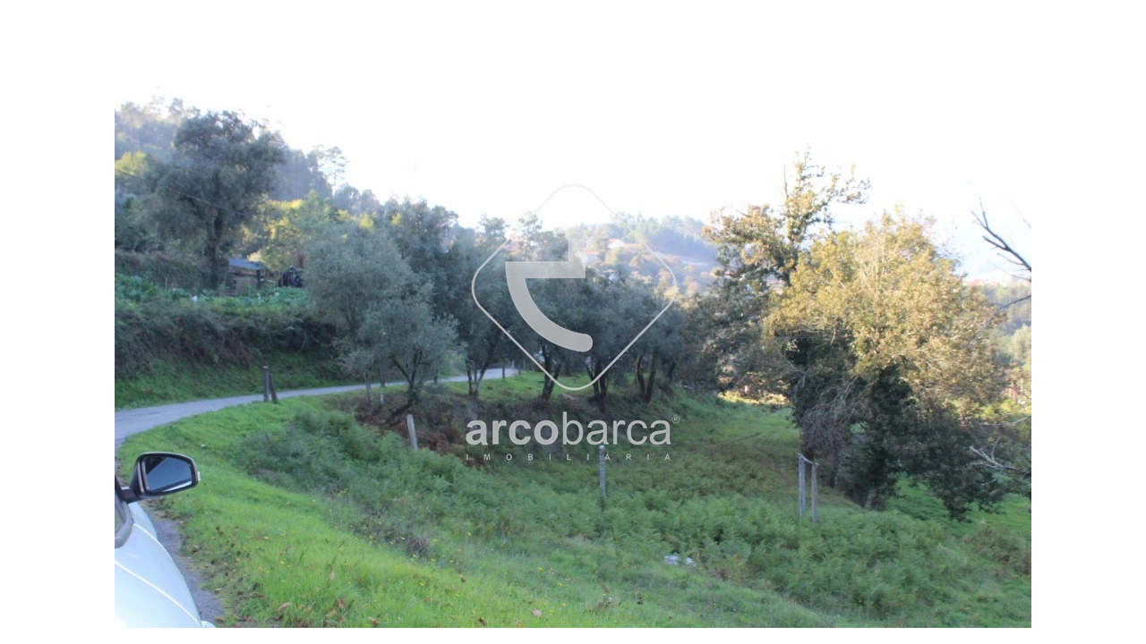 Terreno para Venda em Lavradas Foto 13