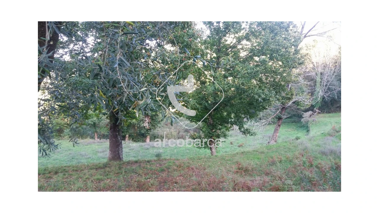 Terreno para Venda em Lavradas Foto 5