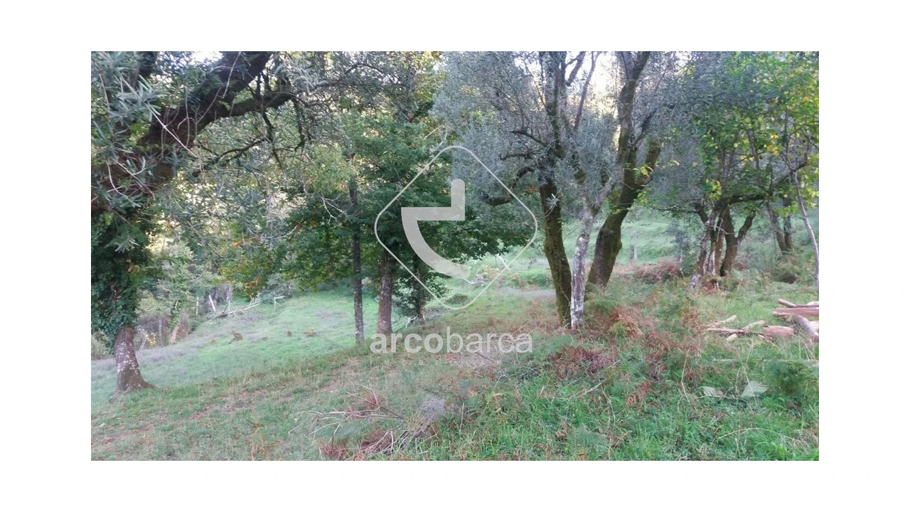 Terreno para Venda em Lavradas Foto 6