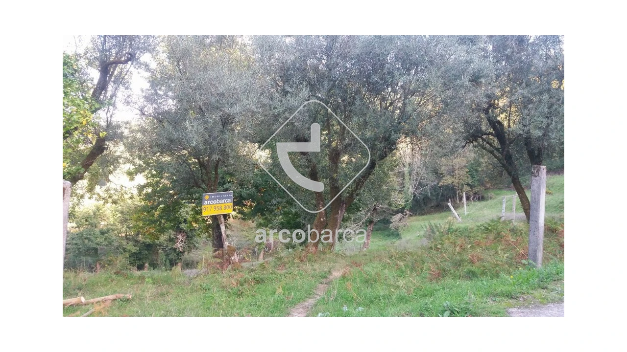 Terreno para Venda em Lavradas Foto 2