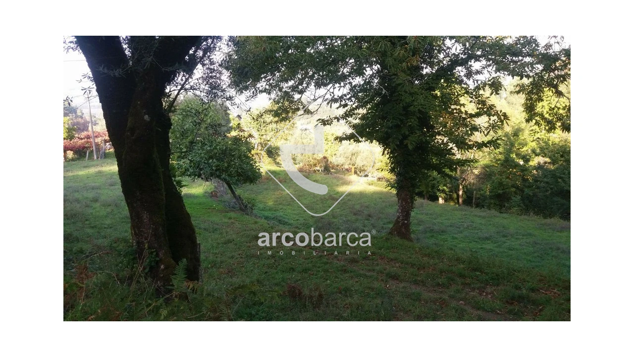 Terreno para Venda em Lavradas Foto 9