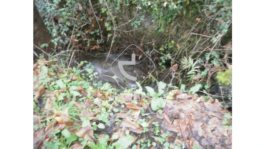 Terreno para Venda em Lavradas Foto 10