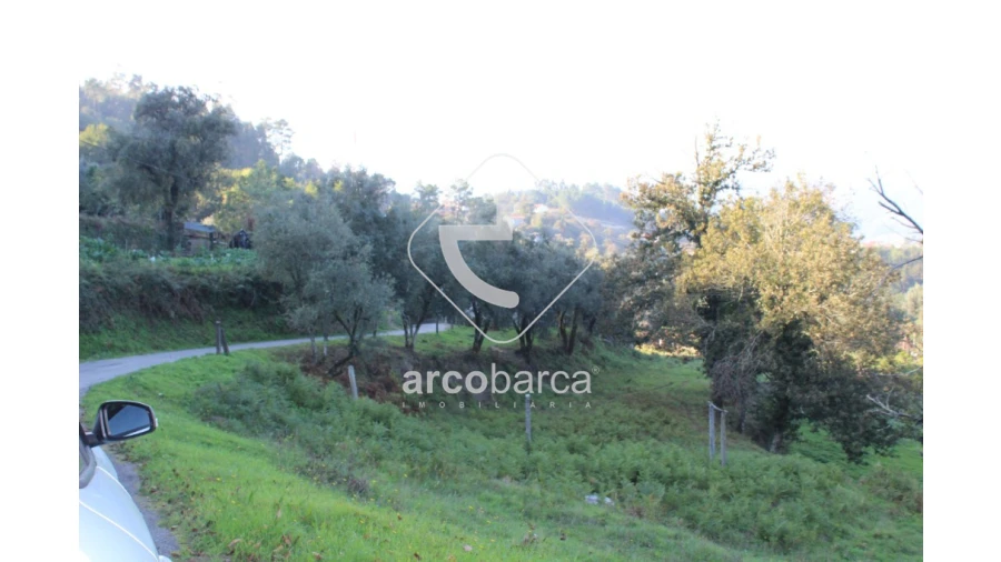 Terreno para Venda em Lavradas Foto 13