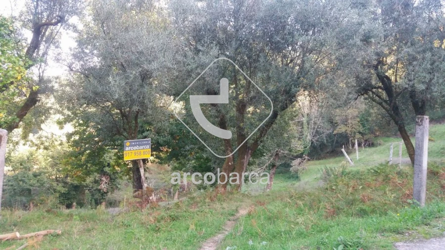 Terreno para Venda em Lavradas Foto 2