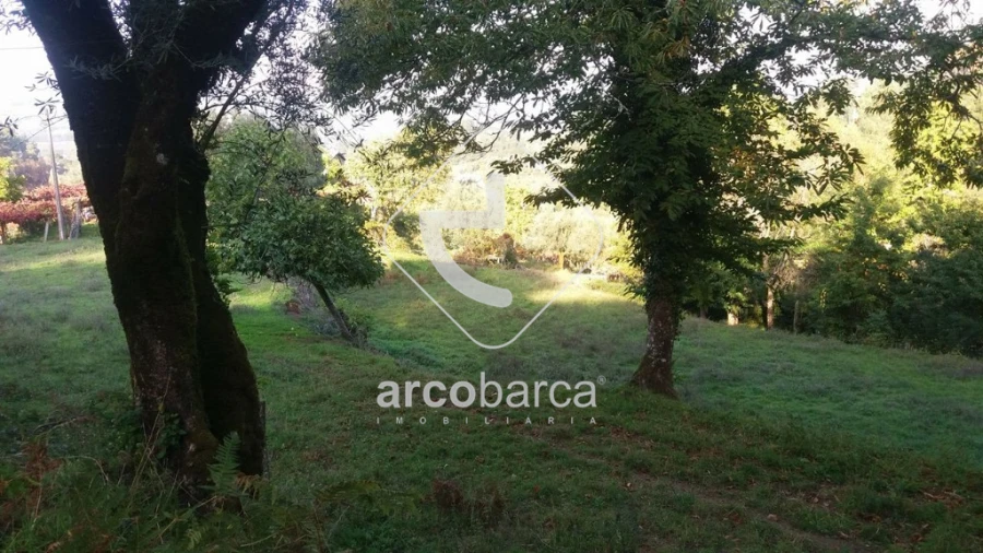 Terreno para Venda em Lavradas Foto 9