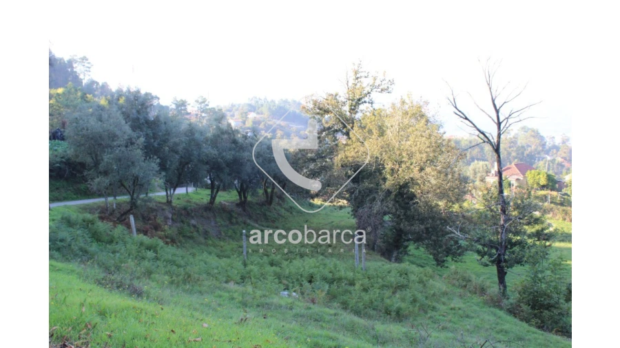 Terreno para Venda em Lavradas Foto 12