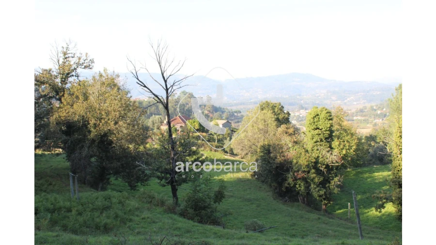 Terreno para Venda em Lavradas Foto 1