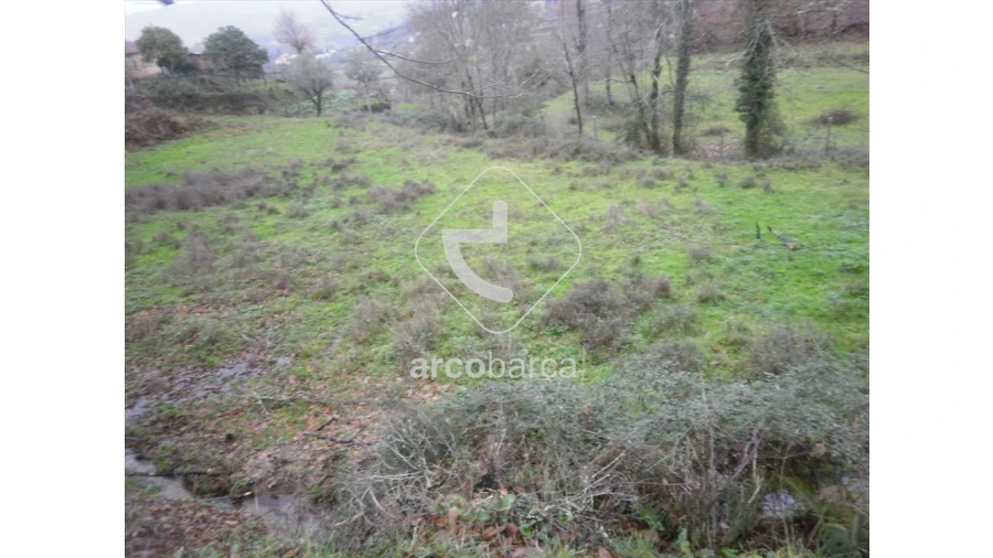 Terreno para Venda em Lavradas Foto 11