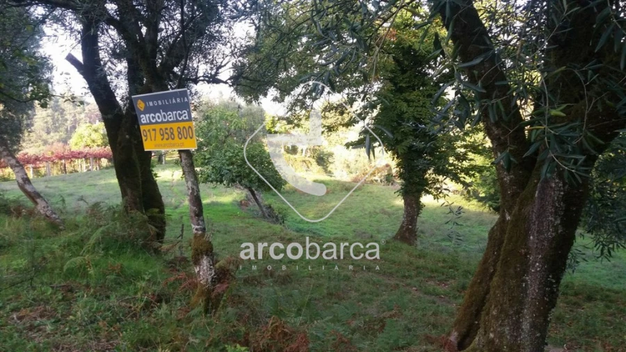 Terreno para Venda em Lavradas Foto 7