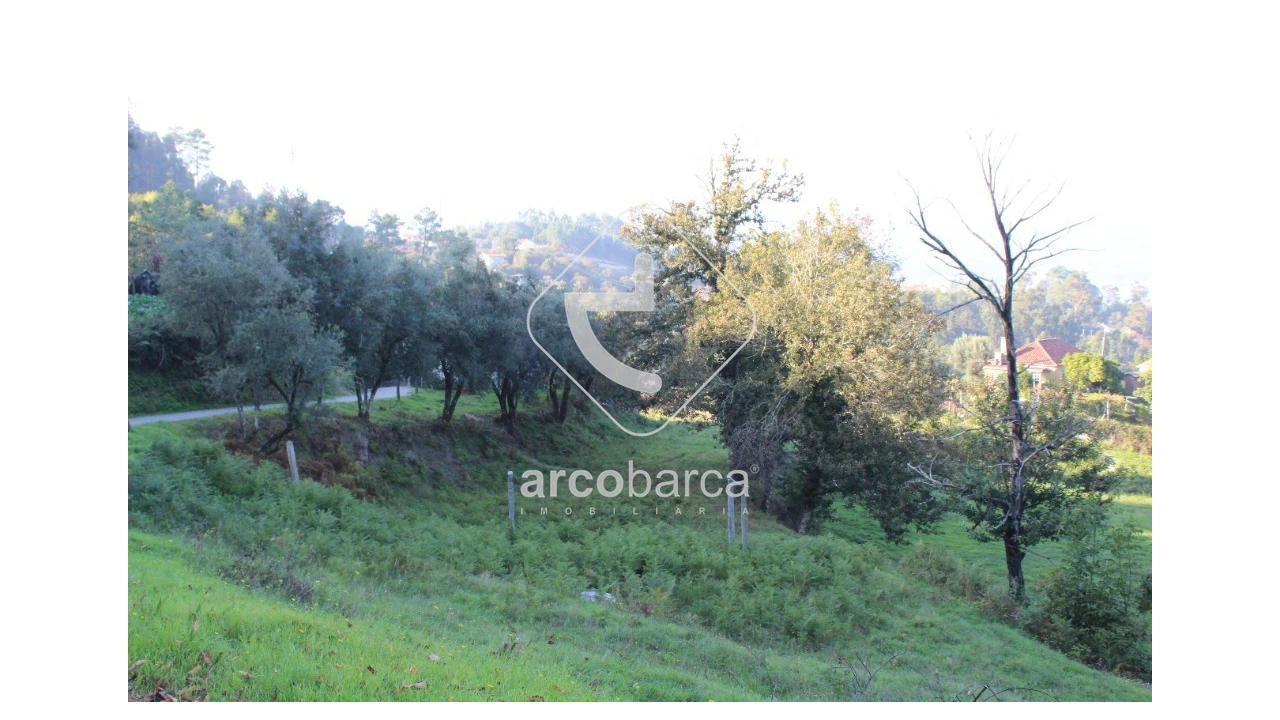 Terreno para Venda em Lavradas Foto 12