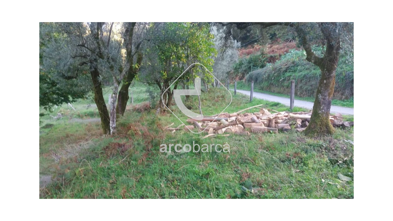 Terreno para Venda em Lavradas Foto 8