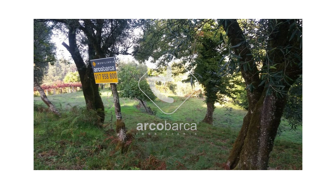 Terreno para Venda em Lavradas Foto 7