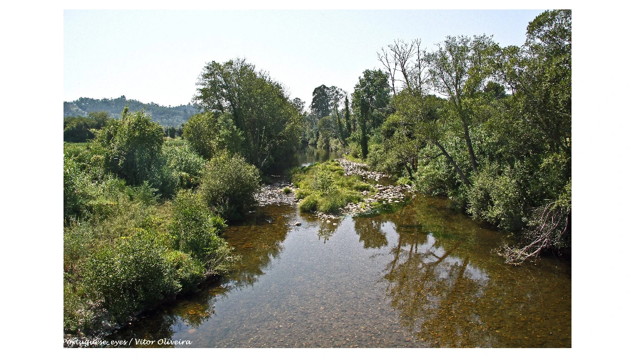 Terreno para Venda em Almalagues Foto 11