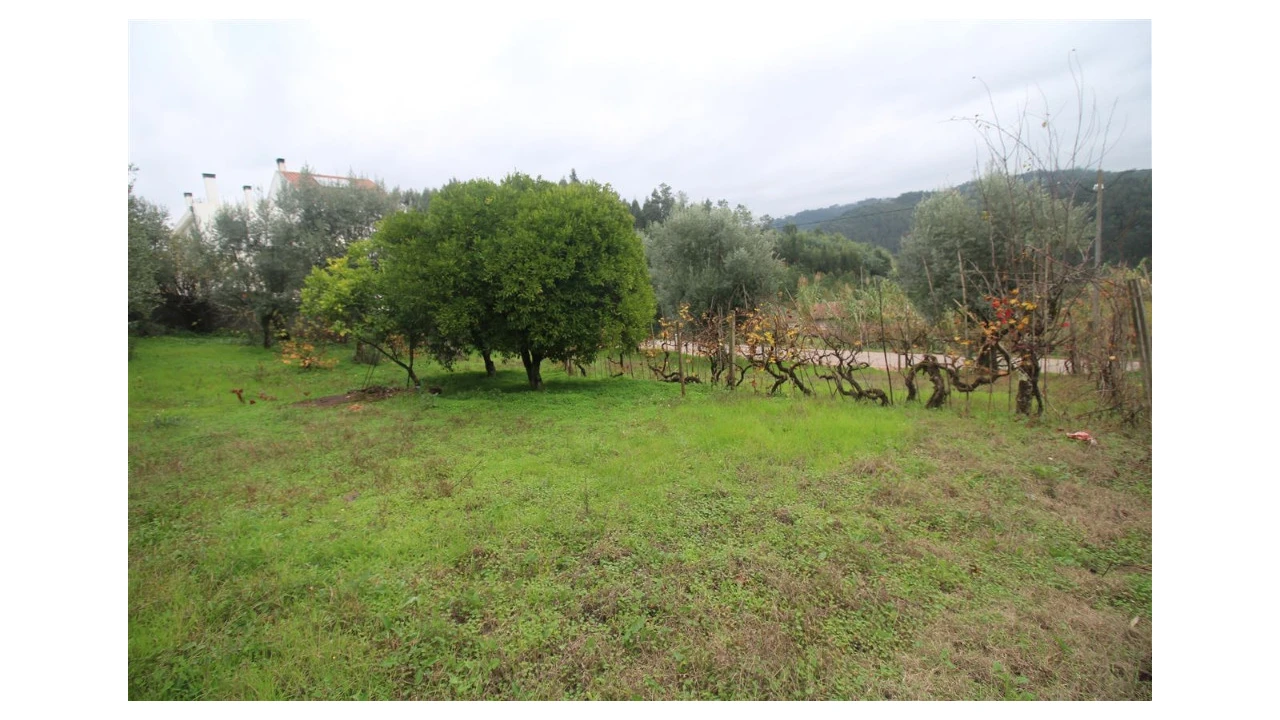 Terreno para Venda em Almalagues Foto 1