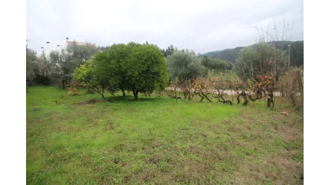 Terreno para Venda em Almalagues