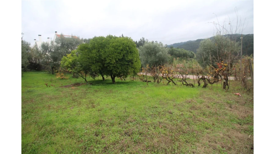 Terreno para Venda em Almalagues