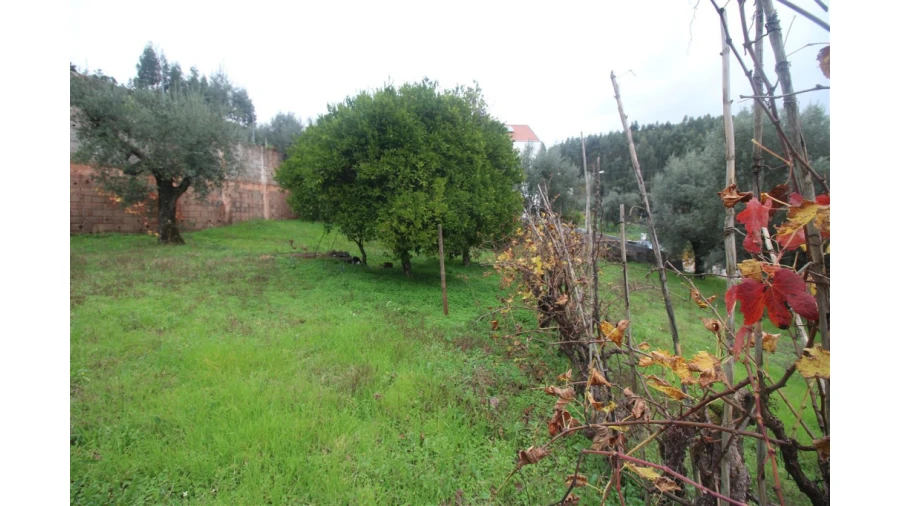 Terreno para Venda em Almalagues Foto 2