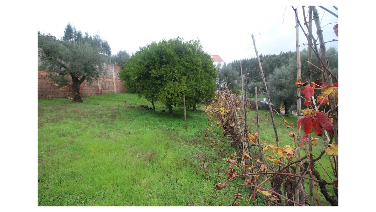 Terreno para Venda em Almalagues Foto 2